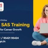 How to Find the Best Online Clinical SAS Training in Hyderabad for Career Growth